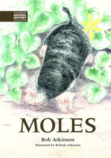 Moles, Hardback Book