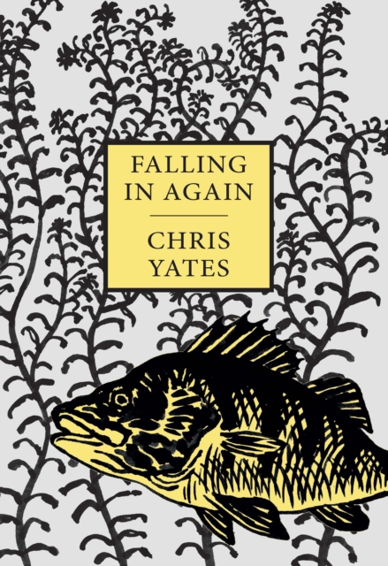 Falling in Again : Tales of an Incorrigible Angler, Hardback Book