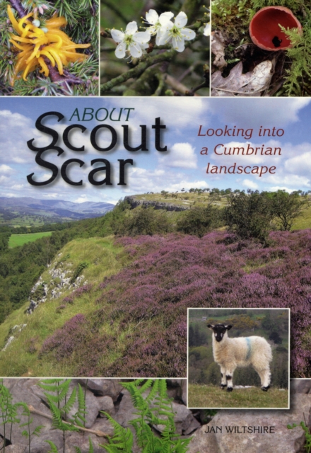 About Scout Scar : Looking into a Cumbrian Landscape, Paperback / softback Book