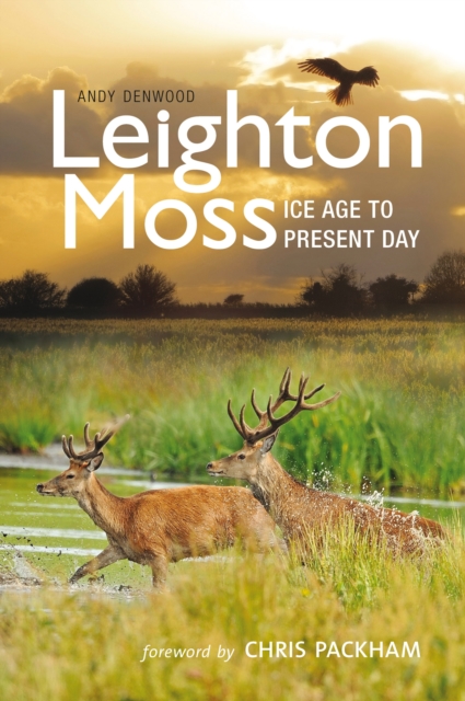 Leighton Moss : Ice Age to Present Day, Paperback / softback Book