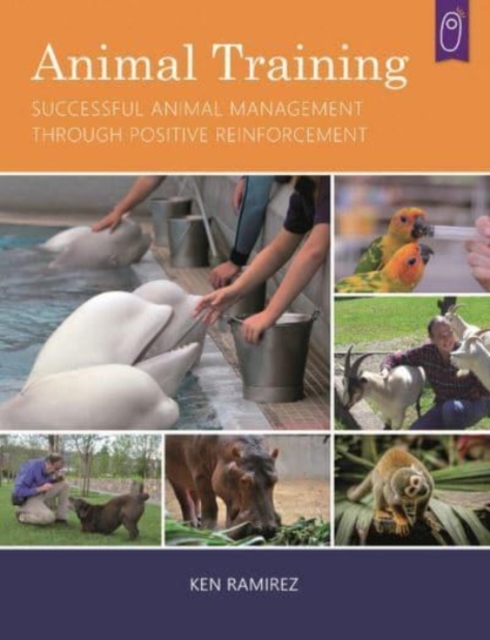 Animal Training : Successful Animal Management Through Positive Reinforcement, Paperback / softback Book