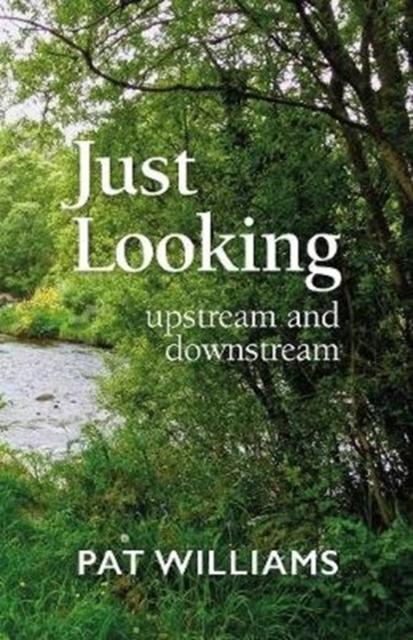 Just Looking : upstream and downstream, Paperback / softback Book