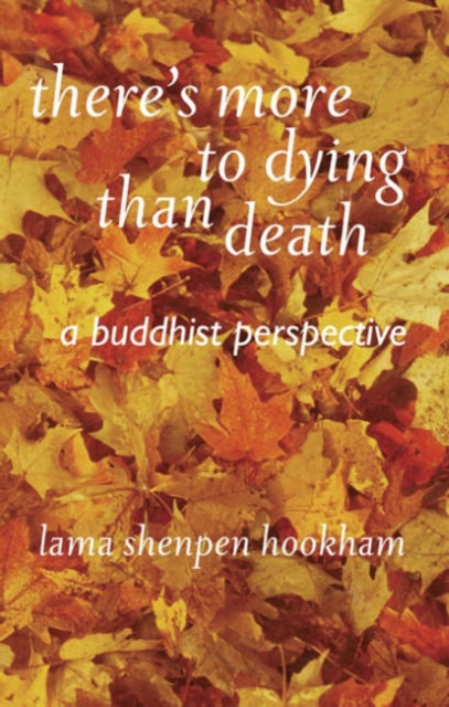There's More to Dying Than Death: A Buddhist Perspective, Paperback / softback Book