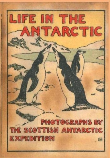 LIFE IN THE ANTARCTIC : Photographs by the Scottish Antarctic Expedition, Hardback Book