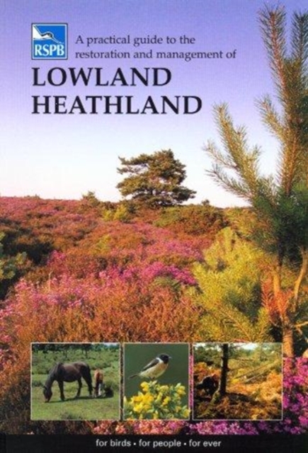 A Practical Guide to the Restoration and Management of Lowland Heathland, Paperback / softback Book