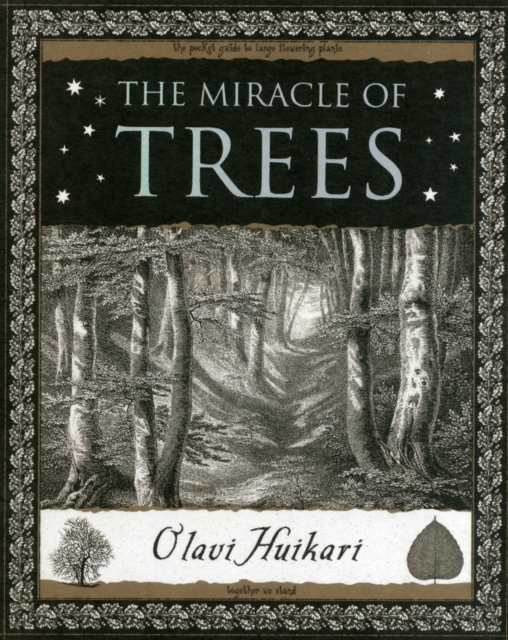 The Miracle of Trees : Their Life and Biology, Paperback / softback Book