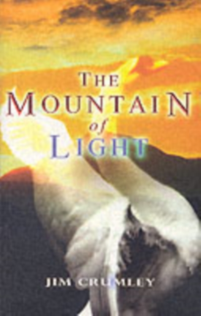 The Mountain of Light, Paperback / softback Book