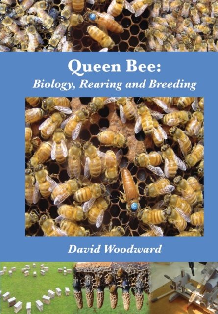 Queen Bee : Biology, Rearing and Breeding, Paperback / softback Book