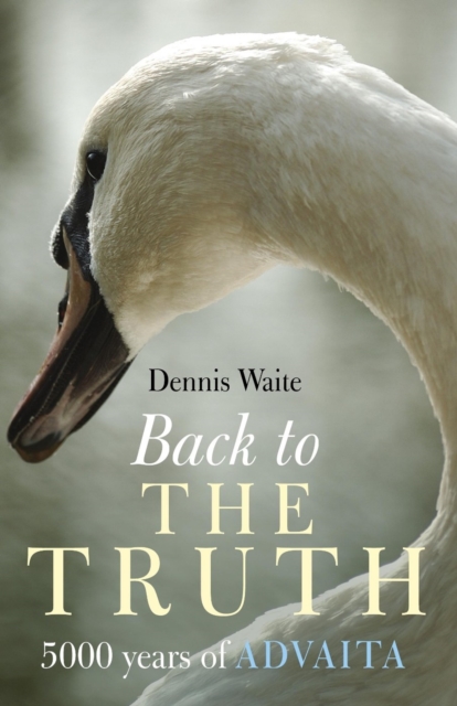 Back to the Truth - 5000 years of Advaita, Paperback / softback Book