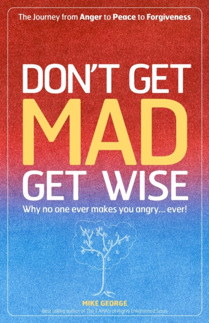 Don`t Get MAD Get Wise - Why no one ever makes you angry!, Paperback / softback Book