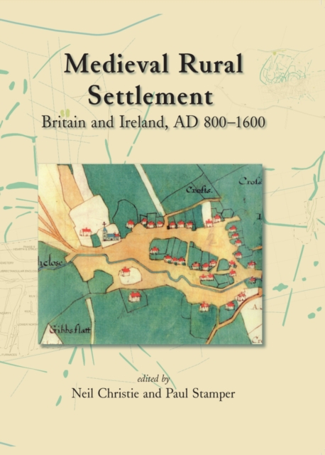 Medieval Rural Settlement : Britain and Ireland, AD 800-1600, PDF eBook