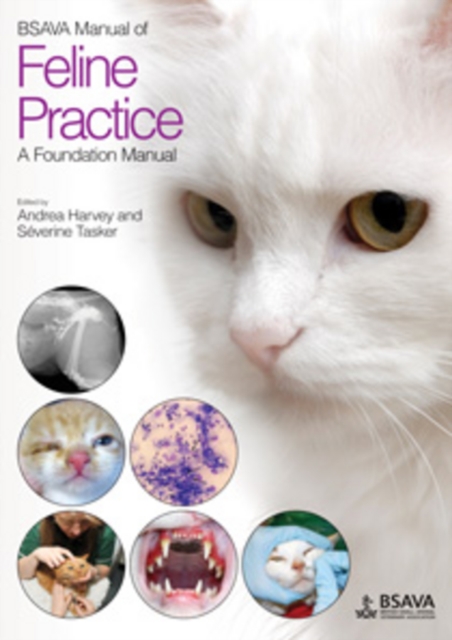 BSAVA Manual of Feline Practice : A Foundation Manual, Paperback / softback Book