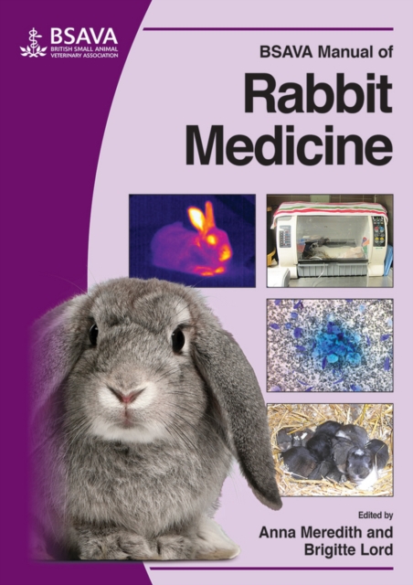 BSAVA Manual of Rabbit Medicine, Paperback / softback Book