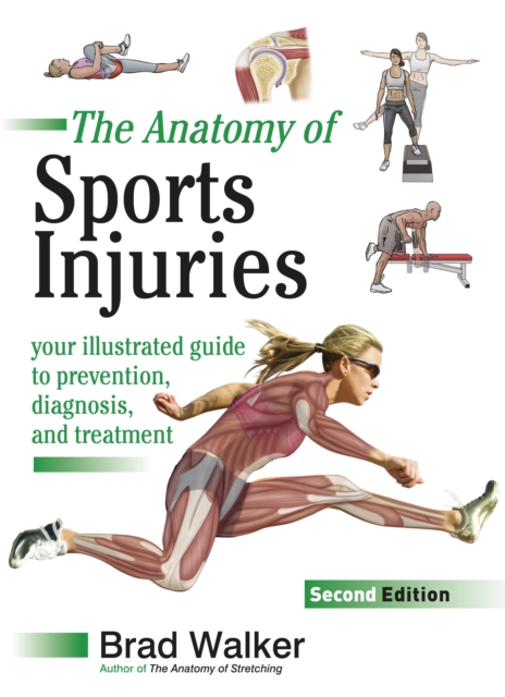 Sports Injuries : Your Illustrated Guide to Prevention, Diagnosis and Treatment, Paperback / softback Book