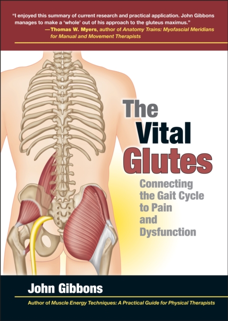 The Vital Glutes : Connecting the Gait Cycle to Pain and Dysfunction, Paperback / softback Book