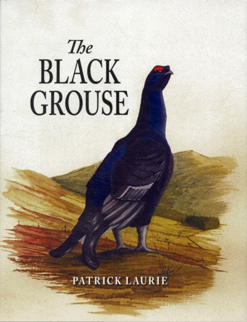 The Black Grouse, Hardback Book