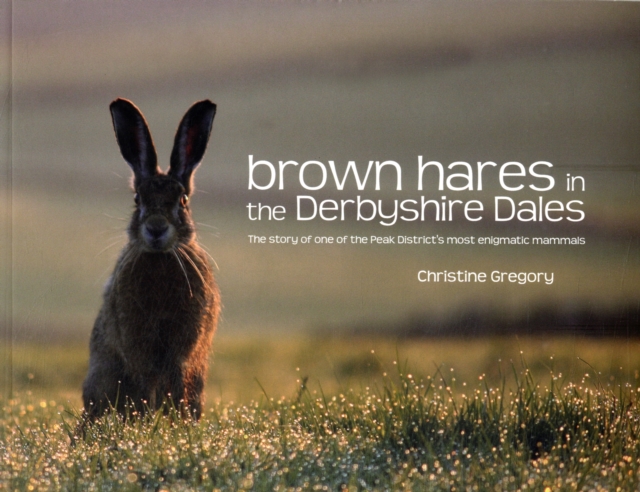Brown Hares in the Derbyshire Dales : The Story of One of the Peak District's Most Enigmatic Mammals, Paperback / softback Book