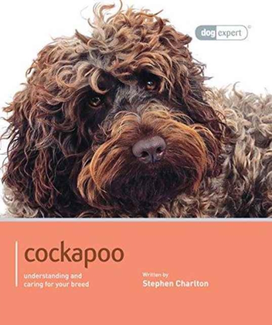 Cockapoo - Dog Expert, Paperback / softback Book