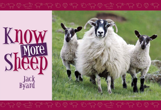 Know More Sheep, Paperback / softback Book