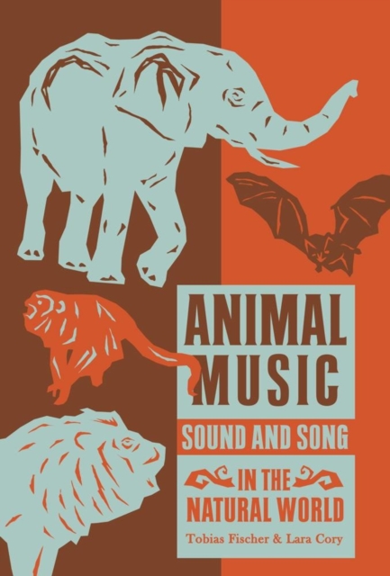 Animal Music : Sound and Song in the Natural World, Paperback / softback Book