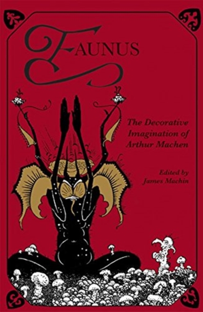 Faunus : The Decorative Imagination of Arthur Machen, Paperback / softback Book