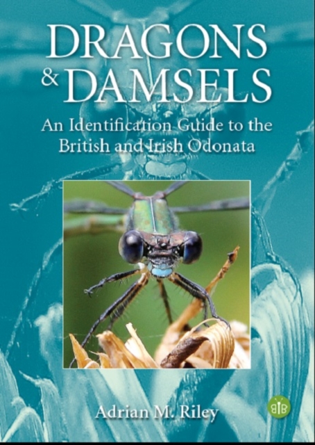 Dragons and Damsels : An identification guide to the British and Irish Odonata, Paperback / softback Book