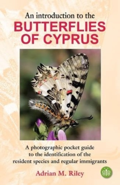 An Introduction to the Butterflies of Cyprus : A photographic pocket guide to the identification of the resident species and regular immigrants, Paperback / softback Book