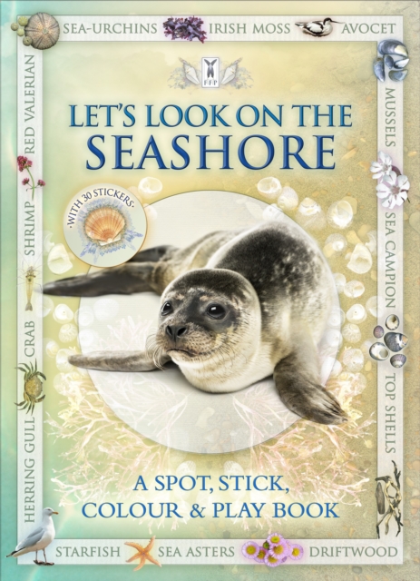 Let's Look on the Seashore, Paperback / softback Book