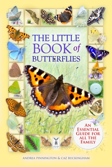The Little Book of Butterflies, Paperback / softback Book