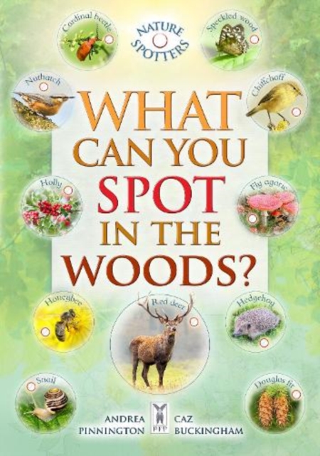 What Can You Spot in the Woods?, Paperback / softback Book