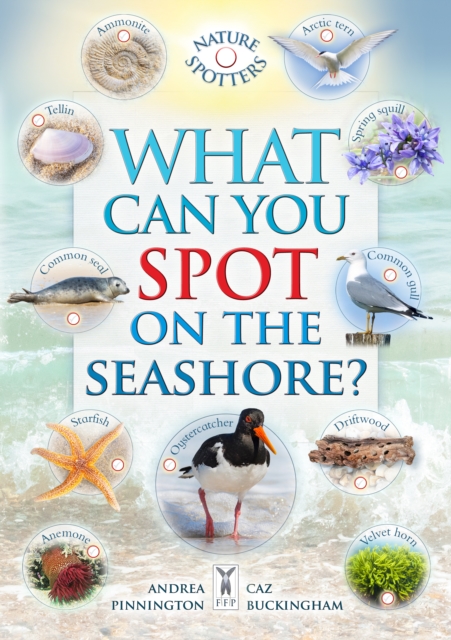 What Can You Spot on the Seashore?, Paperback / softback Book