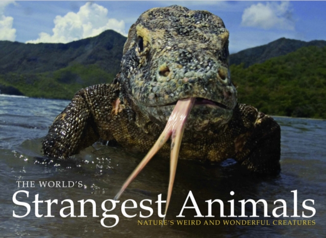 The World's Strangest Animals : Nature's Weird and Wonderful Creatures, EPUB eBook
