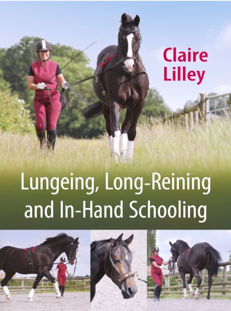 Lungeing, Long-Reining and In-Hand Schooling, Paperback / softback Book