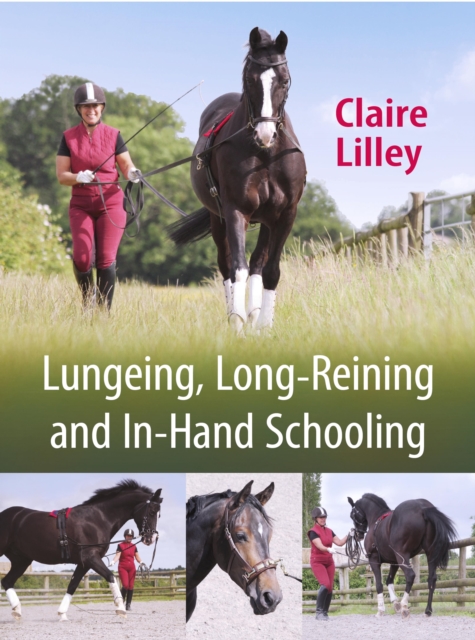 Lungeing, Long-Reining and In-Hand Schooling, EPUB eBook
