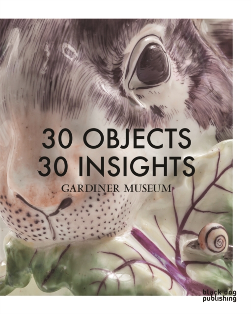 30 Objects 30 Insights, Paperback / softback Book