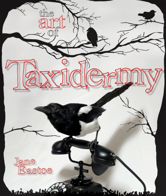 The Art of Taxidermy, EPUB eBook