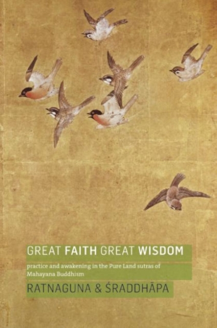 Great Faith, Great Wisdom : Practice and Awakening in the Pure Land Sutras of Mahayana Buddhism, Paperback / softback Book