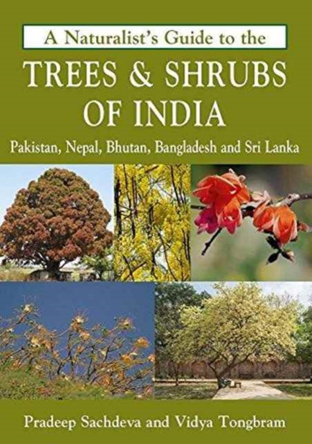 Naturalist's Guide to the Trees & Shrubs of India, Paperback / softback Book
