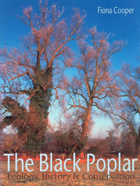 The Black Poplar, PDF eBook