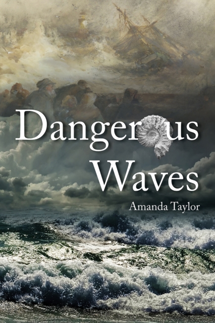 Dangerous Waves, EPUB eBook