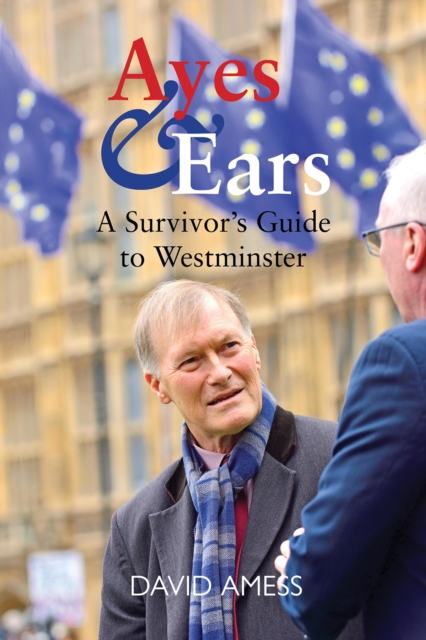 Ayes & Ears : A Survivor's Guide to Westminster, EPUB eBook
