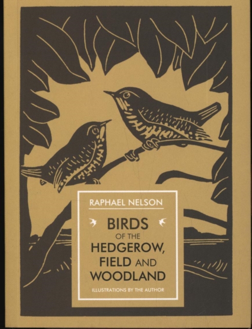 Birds of the Hedgerow, Field and Woodland, Paperback / softback Book
