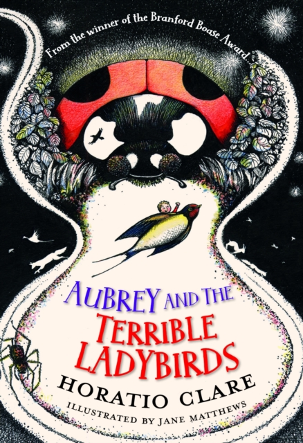 Aubrey and the Terrible Ladybirds, EPUB eBook