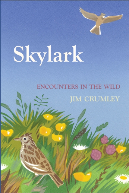 Skylark, Hardback Book