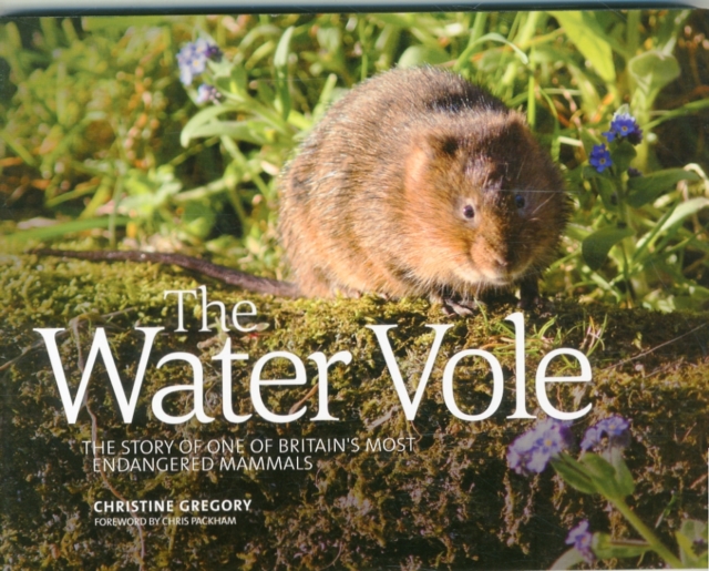 The Water Vole : The Story of One of Britain's Most Endangered Mammals, Paperback / softback Book
