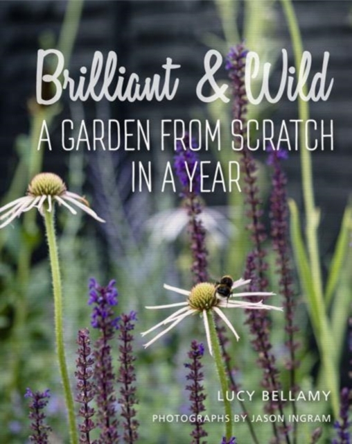 Brilliant and Wild : A Garden from Scratch in a Year, Hardback Book