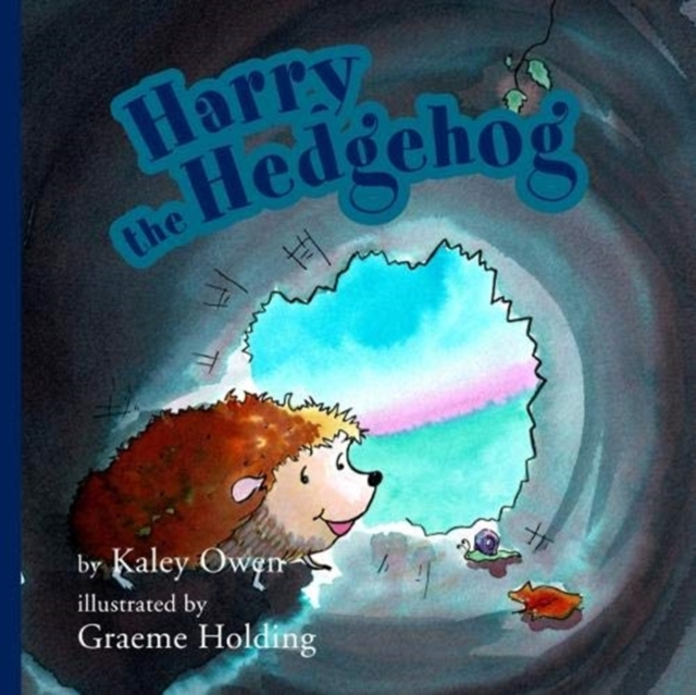 Harry the Hedgehog, Paperback / softback Book