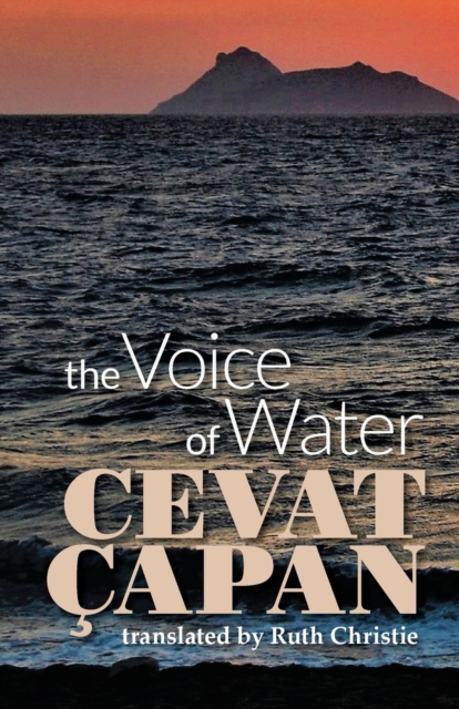 The Voice of Water, Paperback / softback Book