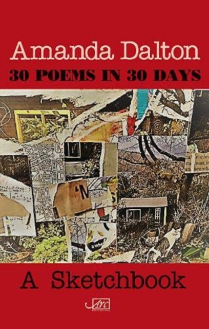 30 Poems in 30 Days, Pamphlet Book