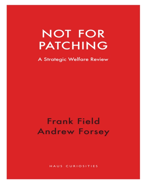 Not for Patching : A Strategic Welfare Review, EPUB eBook